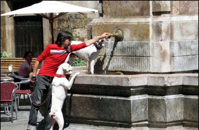 Отлагат спирането на водата в центъра