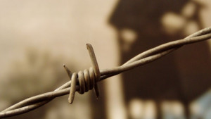 Обсъждат случая Елмира във Враца