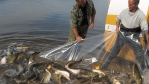 Два дни за свободен риболов