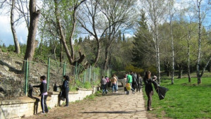 Чистят в района на парк Загорка