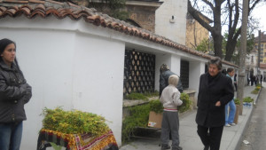 Върбата поскъпна