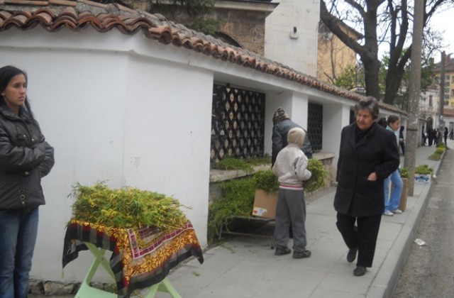 Върбата поскъпна