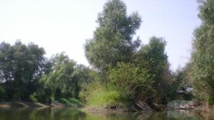 Дунав се покачва