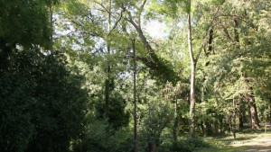 Модернизират парка във Владиславово