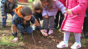 РИОСВ Враца с инициативи за Деня на земята 22ри април