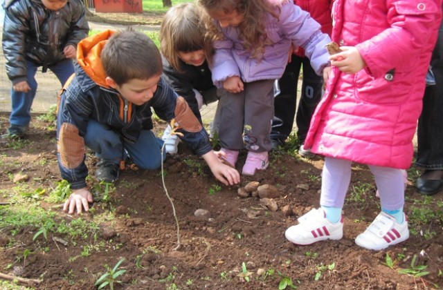 РИОСВ - Враца с инициативи за Деня на земята- 22-ри април