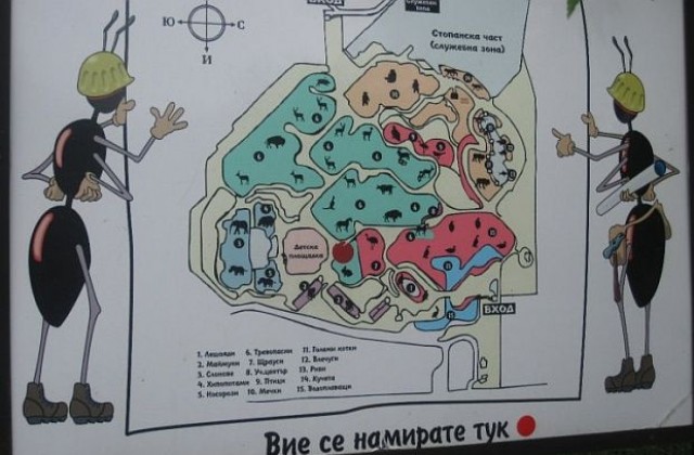 Златни тамарини и лемури в столичния зоопарк за Великден