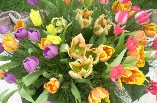 Флора Бургас 2011 от утре до 5 май