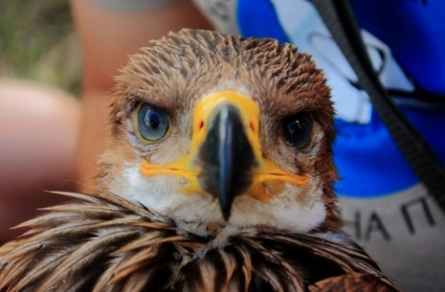 България сред топ дестинациите за бърдуочинг