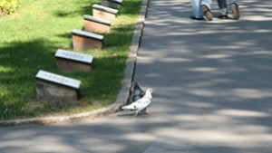 Варна на четвърта позиция в страната по ниска безработица