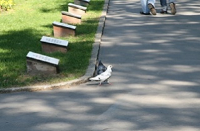 Варна на четвърта позиция в страната по ниска безработица