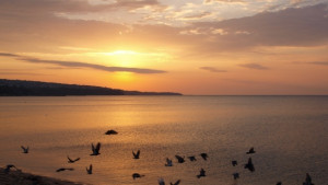 Рекламата на туризма ни по четири европейски телевизии струва близо