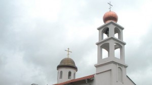 Владиката в Пирне