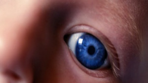 Изследват зрението на 1500 варненчета от детските ясли