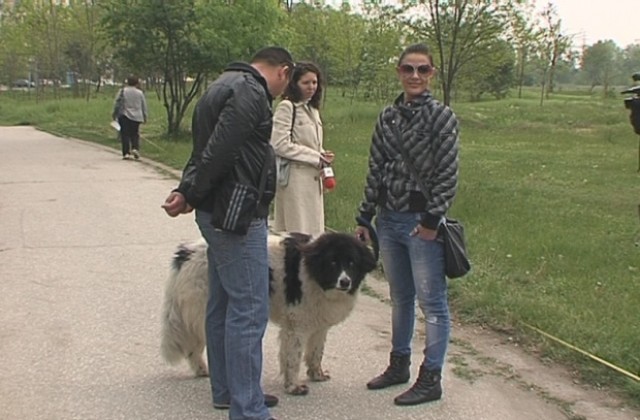 Правят алея за дресура на кучета в Тракия