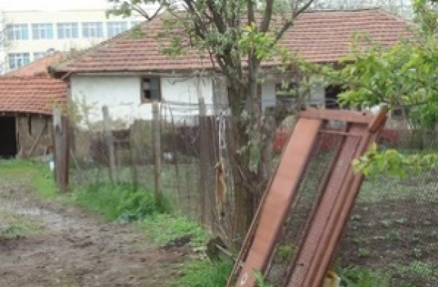 Лов на лисици в Стралджа