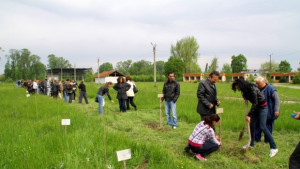 Абитуриенти садиха дръвчета във Видин