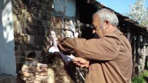 Днес е Гергьовден