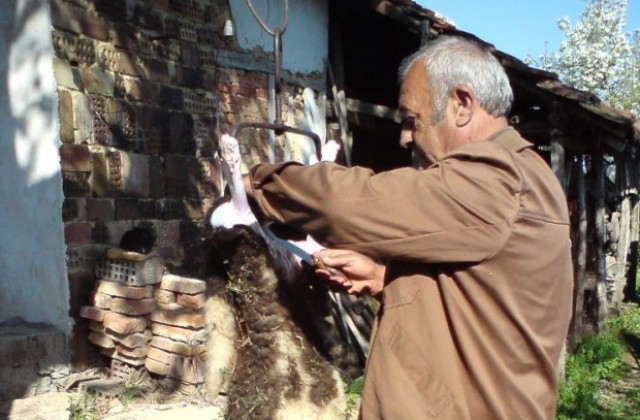 Днес е Гергьовден