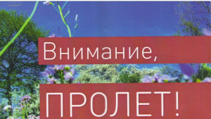 Автори от 5 държави участват в пролетен литературен салон в