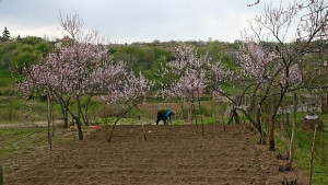 Млади варненски фермери напират за европомощи