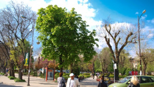 Има ли смисъл от възродителен процес за Севастопол