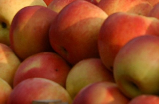 Южнокореец създаде ябълка срещу лош дъх