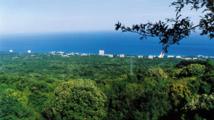 Доброволци ще чистят парк Златни пясъци