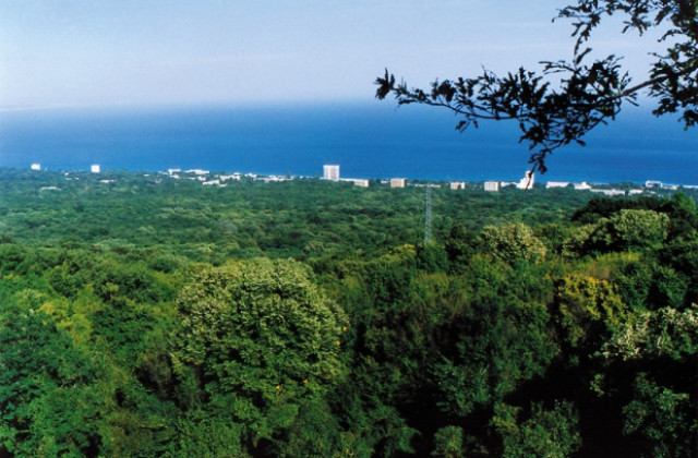 Доброволци ще чистят парк „Златни пясъци”