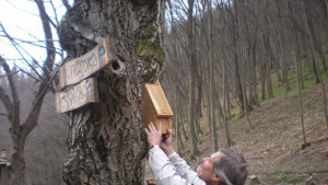 Почистваме парковете