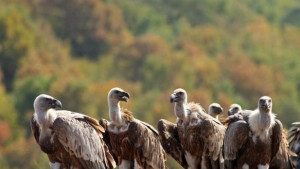 Екоексперти заседаваха във Враца