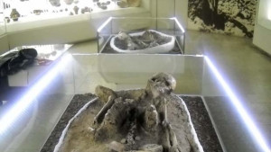 Древността се завръща в Нощта на музеите