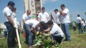 ЕНП прави мини парк засадиха 20 липи и монтираха детски