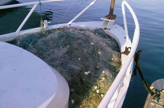 Иззеха бракониерски мрежи от р. Дунав