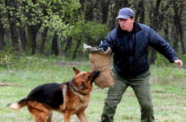 Национален преглед за водачи на служебни кучета