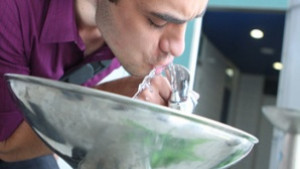 Машини също като канарския бор кондензират влагата за да осигурят