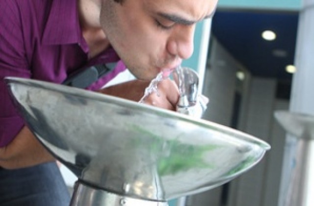 Машини също като канарския бор кондензират влагата, за да осигурят прясна вода