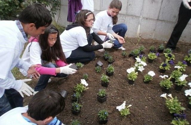 Засадиха цветя с  формата на логото, победител в конкурса  „Земята – нашият чист дом”