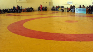 Близнаци с два златни медала в борбата