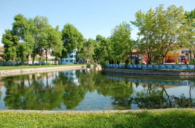 По-малко данъчни декларации от Монтанско