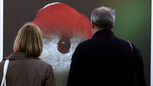 Мъжете са неверни по природа затова узаконете многоженството