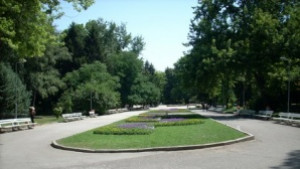386 000 лв дала Общината за въоръжена охрана