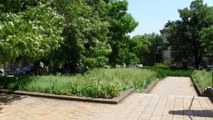Акция по почистване ще се проведе отново в Плевен