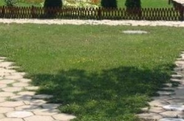 Кърлежите плъзнаха, двойно повече ухапани за седмица