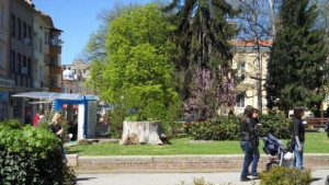 Слънчево време