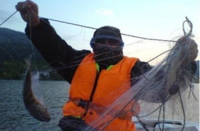 Хванаха бракониери