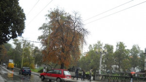 Блъснаха момиче на пешеходна пътека