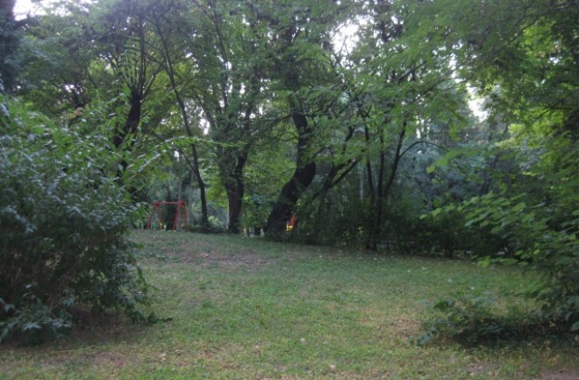 Стартира пръскането срещу кърлежи в Стара Загора