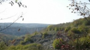 Победители в екоконкурса на РИОСВ