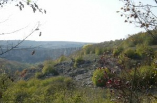 Победители в екоконкурса на РИОСВ
